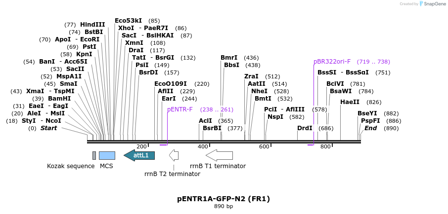 80895_map