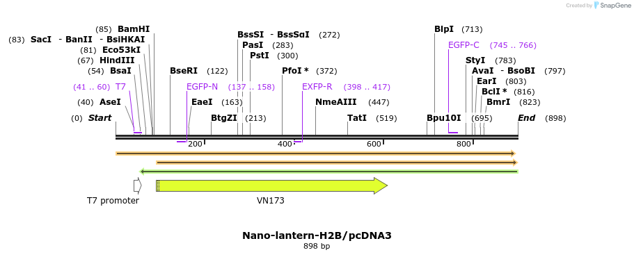 80900_map