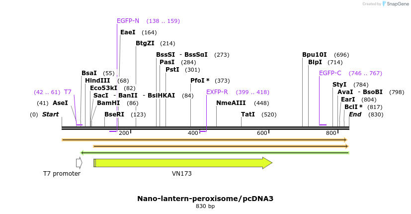 80903_map