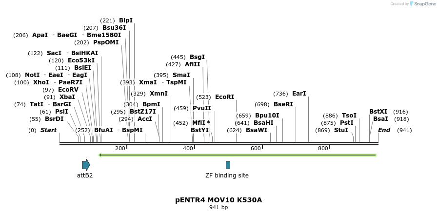 80905_map