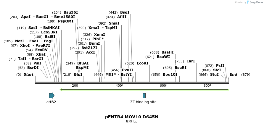 80907_map