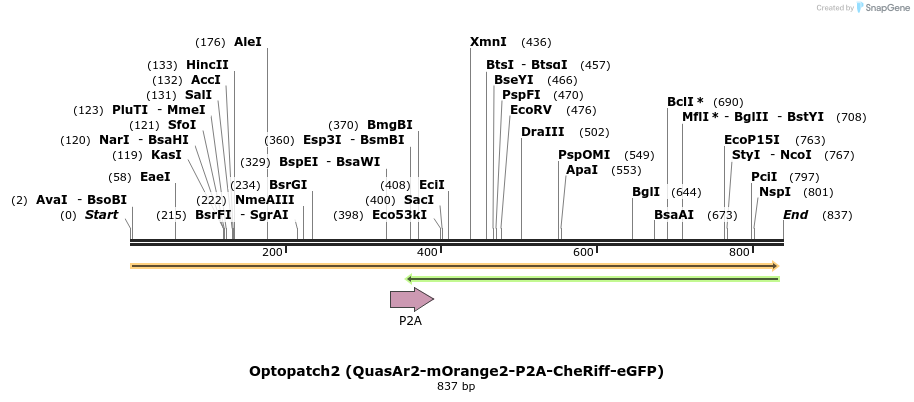 80908_map