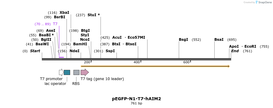 80910_map