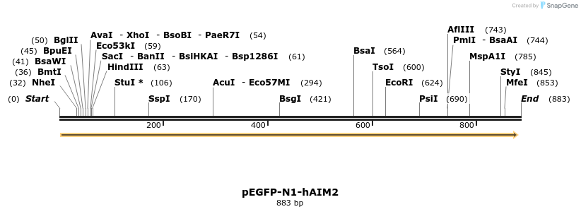 80912_map