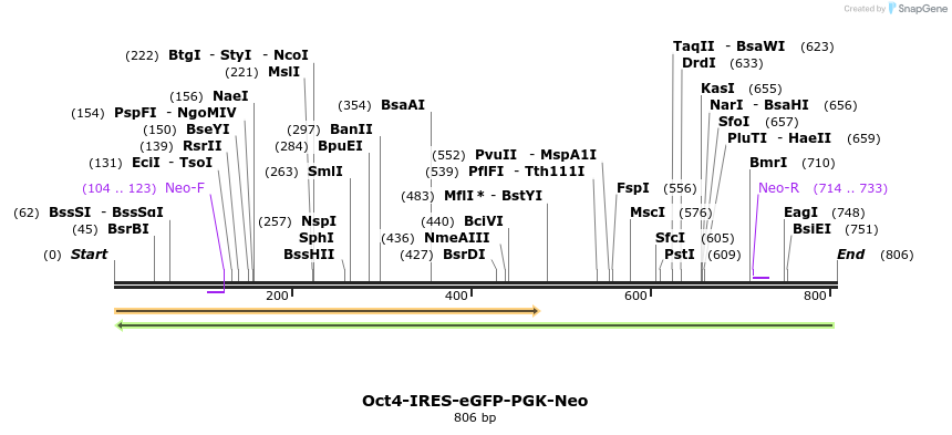 80913_map