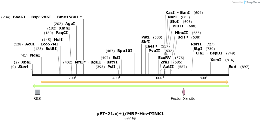 80915_map
