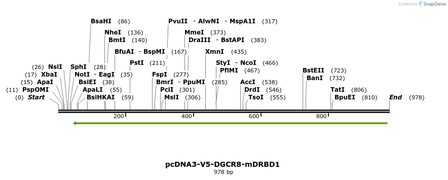 80919_map