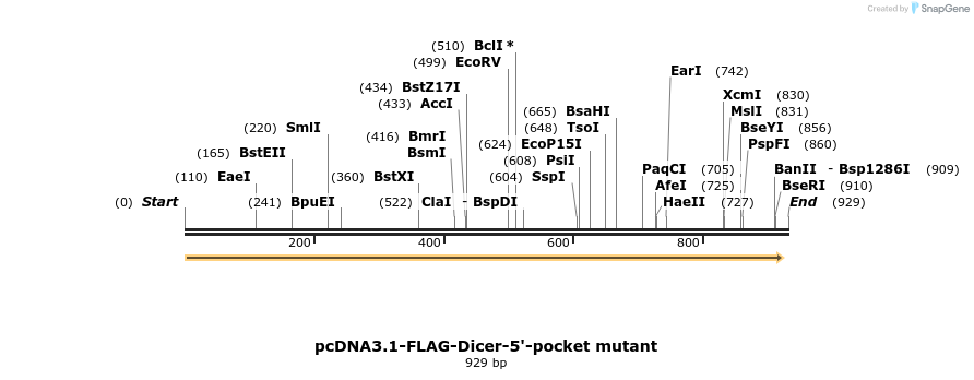 80921_map