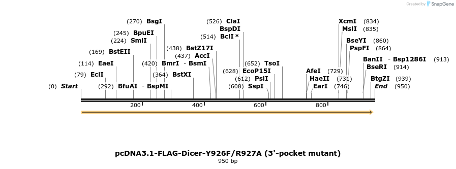 80923_map