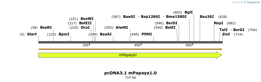 80927_map