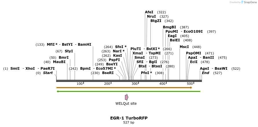 80928_map