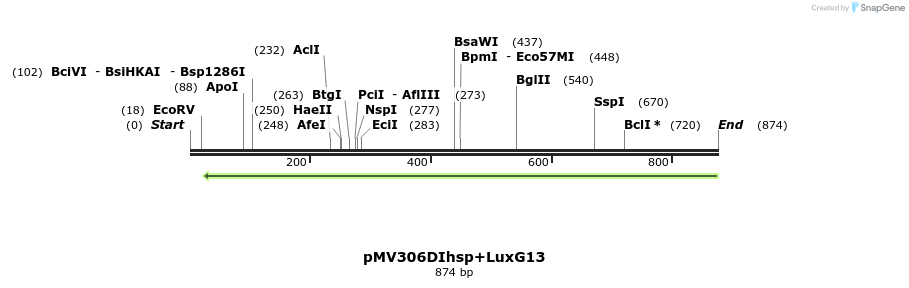 80931_map