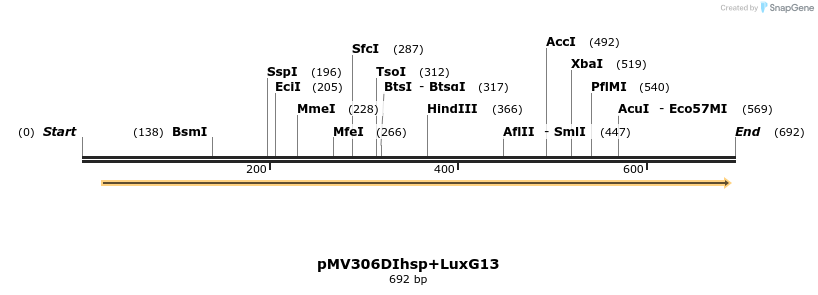80933_map
