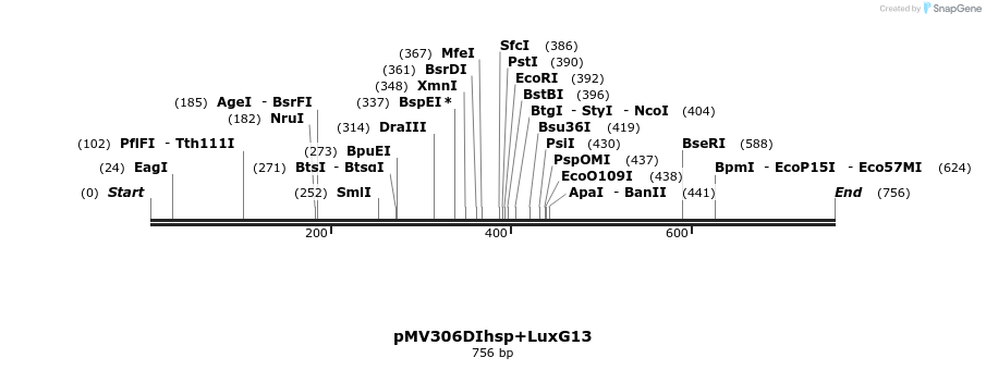 80934_map