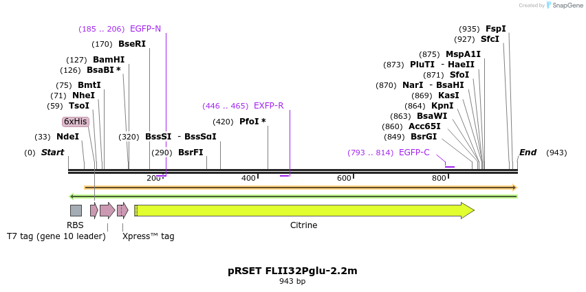 80949_map