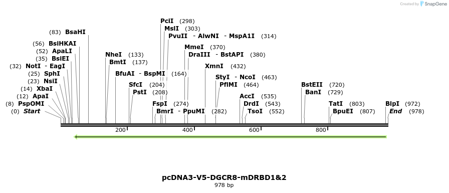 80951_map
