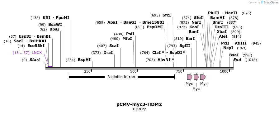 80957_map