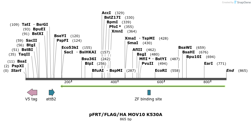 80958_map