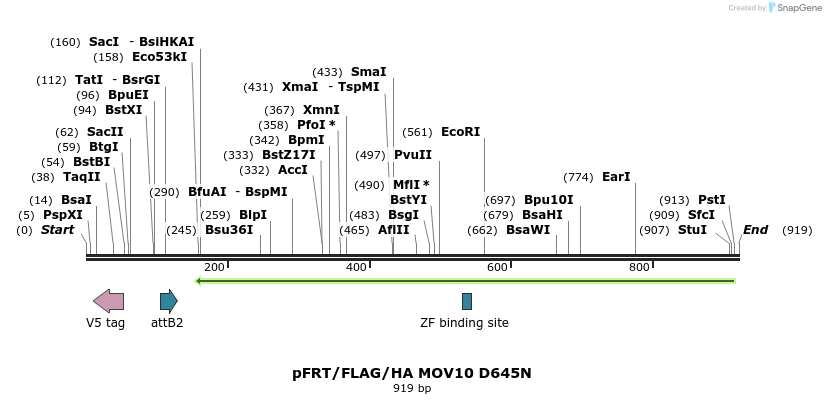 80959_map