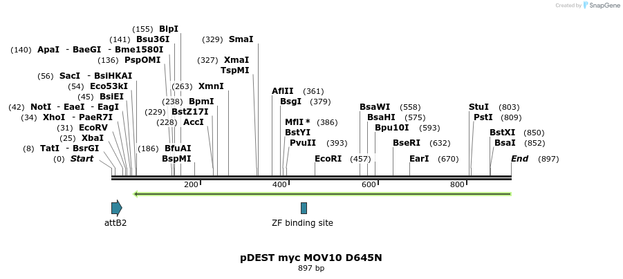 80960_map
