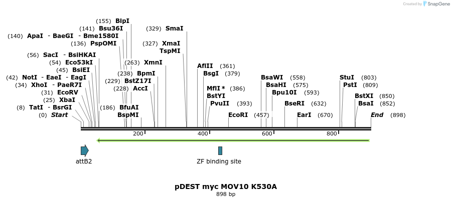 80961_map