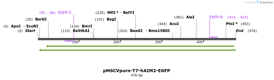 80962_map