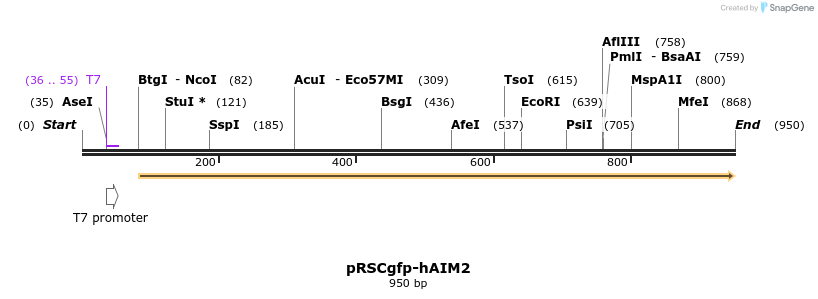 80964_map