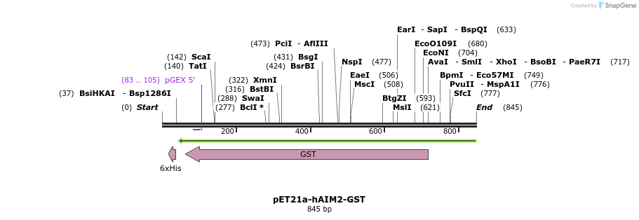 80965_map