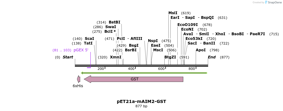 80966_map