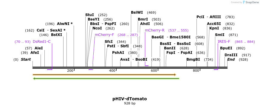 80967_map