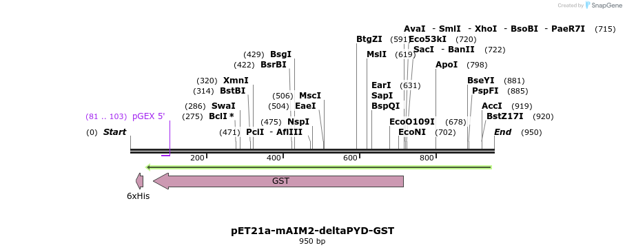 80968_map