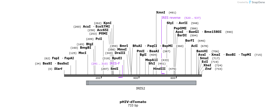80970_map