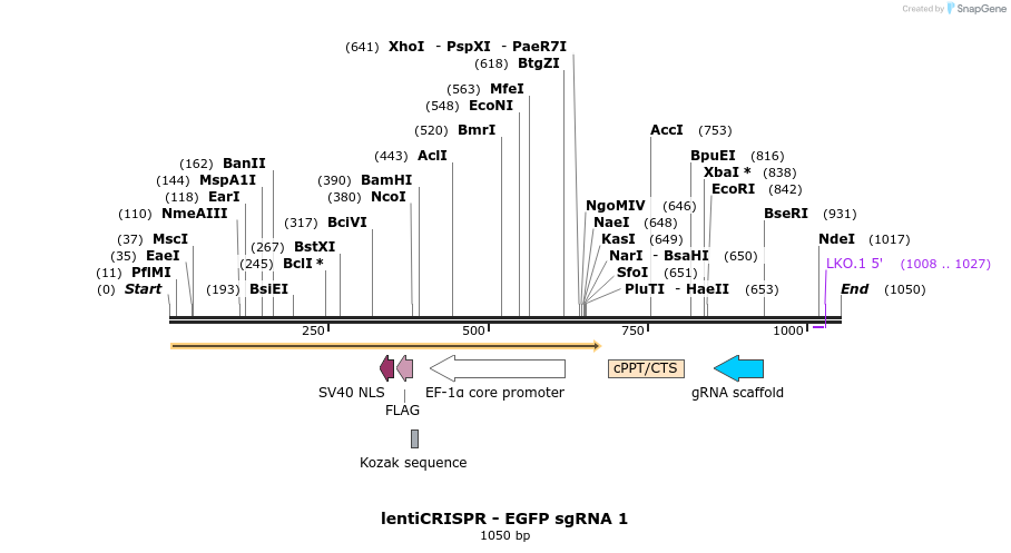 80971_map