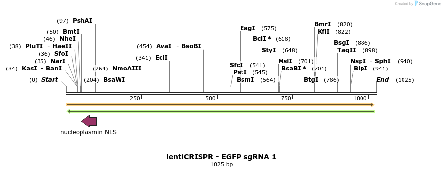 80972_map