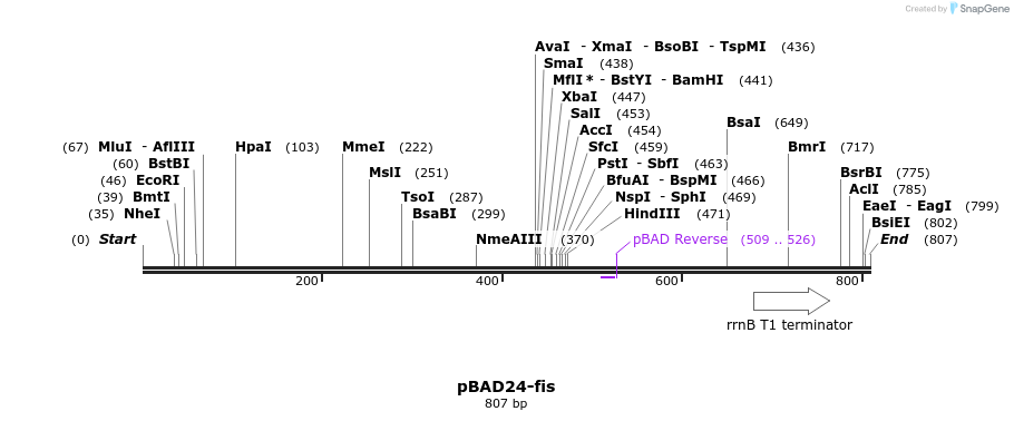 80973_map