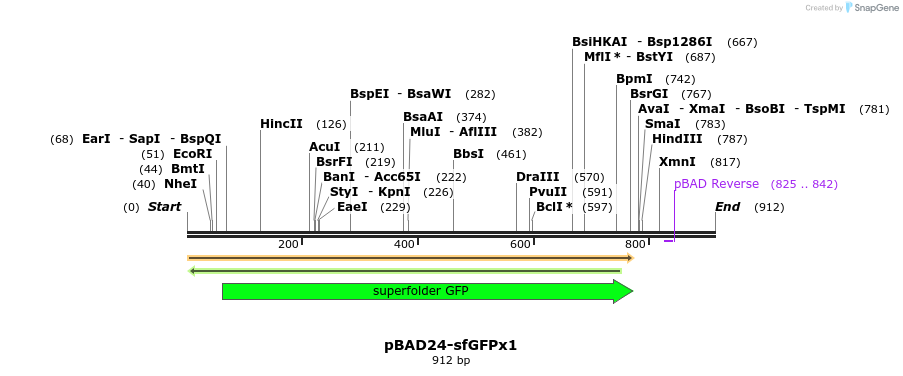 80974_map