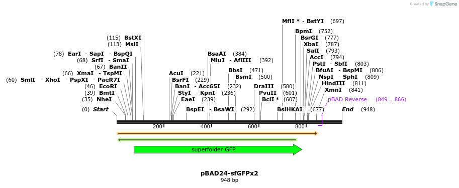 80975_map