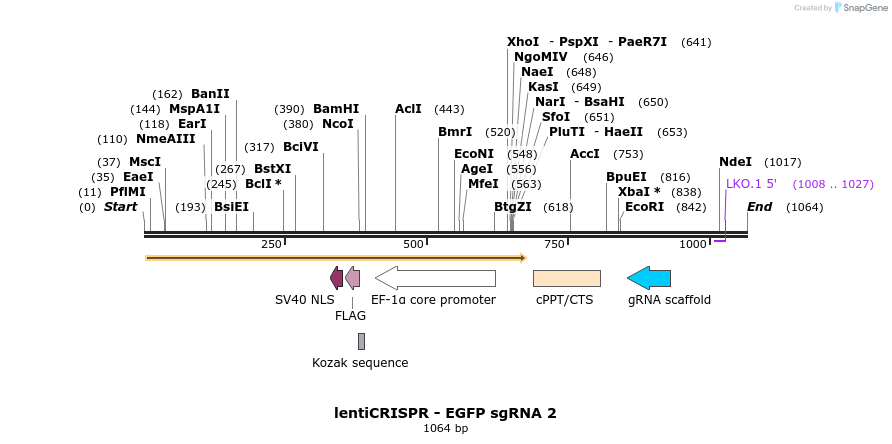 80977_map