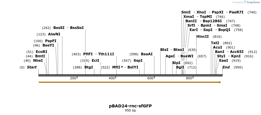 80979_map