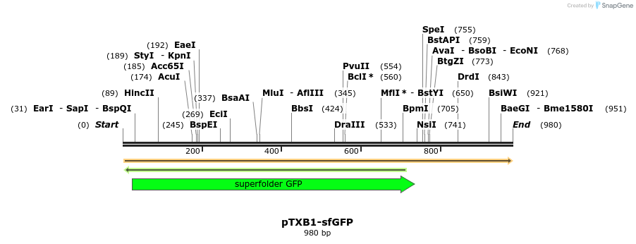 80982_map