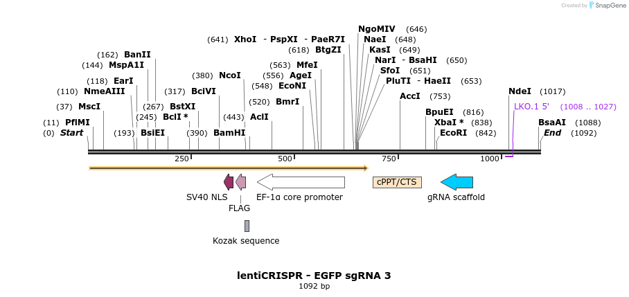 80983_map