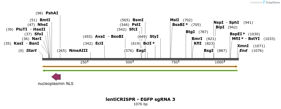 80985_map