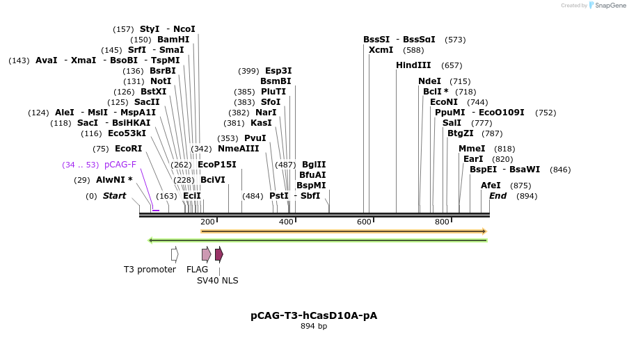 80999_map