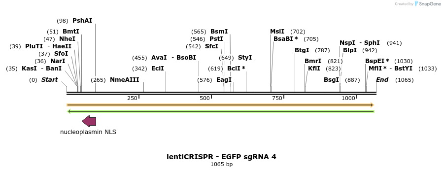 81000_map