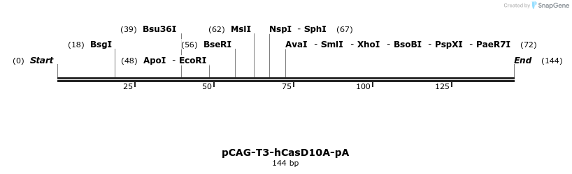 81001_map