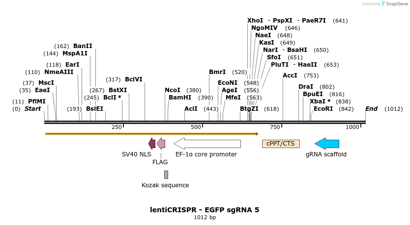81002_map