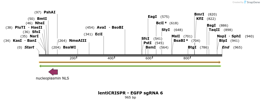 81004_map