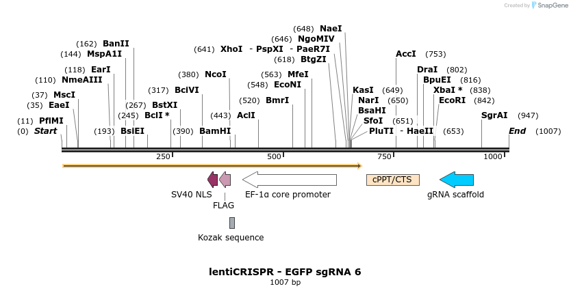 81005_map