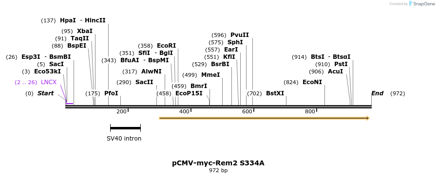 81009_map