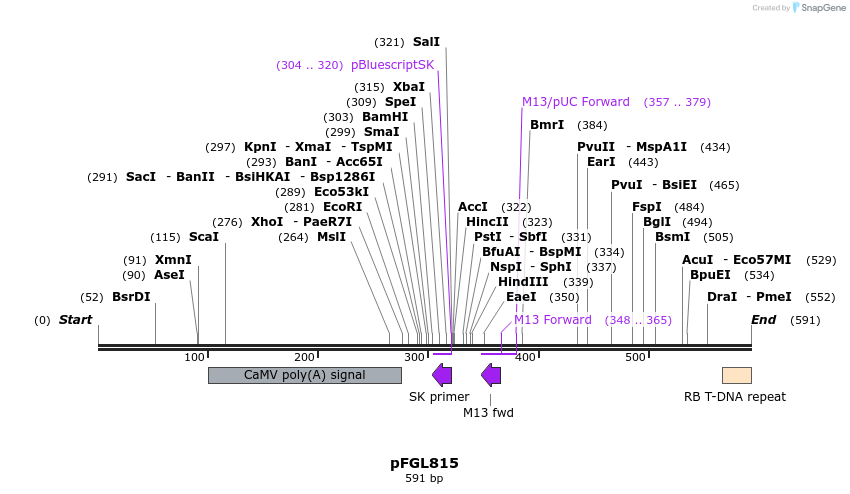 81024_map